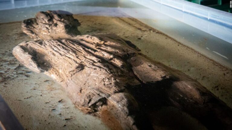 2,000-year-old Roman figure found during railway excavation